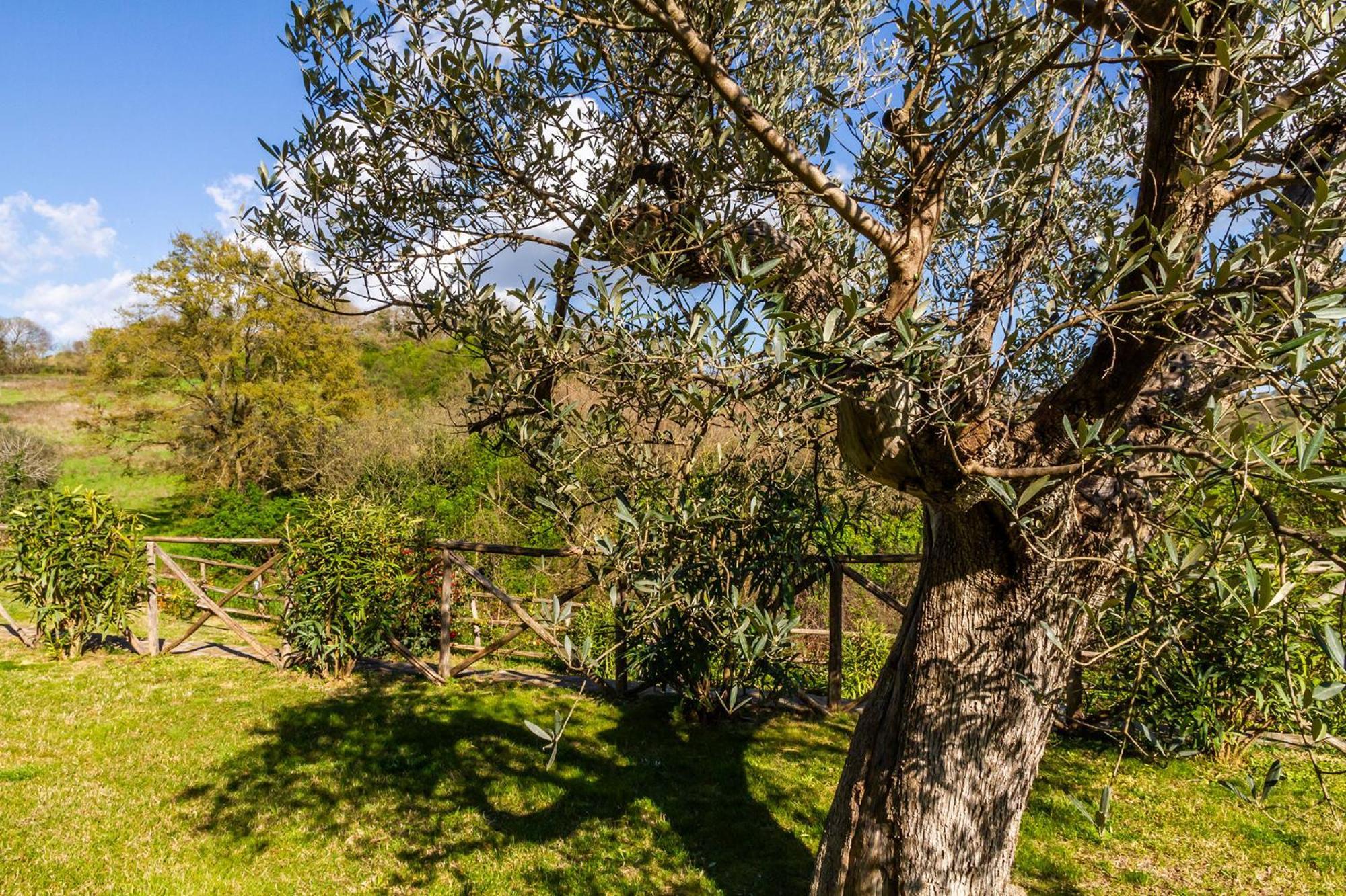 Home With A View In Scansano, Tuscany ภายนอก รูปภาพ